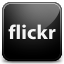 flickr Icon