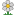 daisy, plant, Flower Black icon