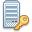 Key, Server, password Icon