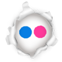 flickr Gainsboro icon