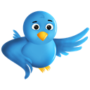 twitter, Sn, social network, Animal, Social, bird Black icon