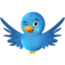 Animal, twitter, social network, Social, Sn, bird Black icon