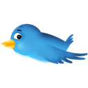 social network, Sn, twitter, bird, Social, Animal Black icon