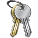 password Silver icon