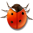 insect, ladybird, Animal, bug Firebrick icon