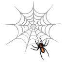 web, spider Black icon