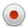 button, record Icon