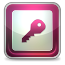 Access Silver icon