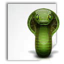 Application, Python Icon
