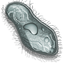 Cell DarkSlateGray icon
