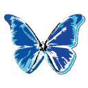 butterfly Black icon