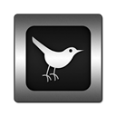 Animal, bird, twitter, square, Social, social network, Sn Black icon