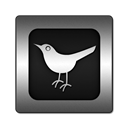 bird, square, Sn, twitter, Social, social network, Animal Black icon