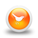 Social, Sn, social network, Animal, twitter, bird Icon