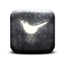 Animal, social network, twitter, Social, Sn, bird Black icon