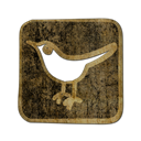Sn, twitter, social network, Social, bird, Animal, square DarkOliveGreen icon
