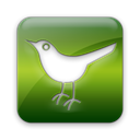 square, bird, Animal, social network, twitter, Social, Sn Black icon