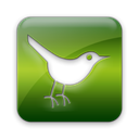 Animal, social network, square, Sn, Social, twitter, bird Black icon