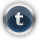 Small, Tumblr DarkSlateGray icon