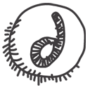 dreamweaver DarkSlateGray icon