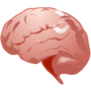 Brain IndianRed icon