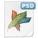 Psd WhiteSmoke icon