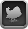 bird, twitterrific, Animal DarkSlateGray icon