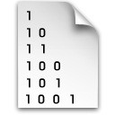 Binary Icon