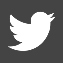 square, social media, Logo, bird, logotype, social network DarkSlateGray icon