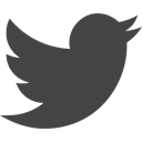 Logo, logotype, social media, bird, social network DarkSlateGray icon