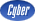 Cyber Icon