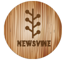 Newsvine Gray icon