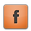 Orange SandyBrown icon