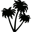 Plants, Botanical, nature, Arecaceae, Desert, tropical Black icon