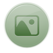 Picutre DarkSeaGreen icon