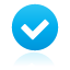 Check, button DeepSkyBlue icon