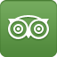 tripadvisor OliveDrab icon