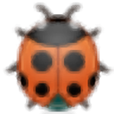 bug Black icon