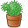 Cactus ForestGreen icon