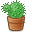 Cactus Icon