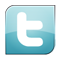 twitter PowderBlue icon