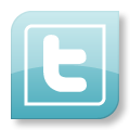 twitter PowderBlue icon