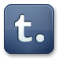 Tumblr SlateGray icon