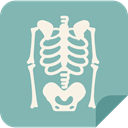 X Rays, Bones, Skeleton, medical MediumAquamarine icon