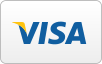Credit card, visa, curved WhiteSmoke icon