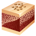 nut, cake Maroon icon