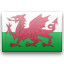 Wales Black icon