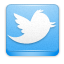 twitter CornflowerBlue icon