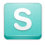 Skype SkyBlue icon