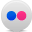 flickr Icon